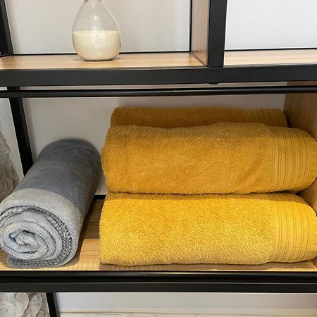 דירות ניורט Chez Jean-Yves Et Zoe - Le Saint Andre - Au Calme, Tres Propre, Proche Parkings, Clim מראה חיצוני תמונה